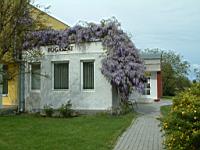 Zahnarzt - Révfülöp